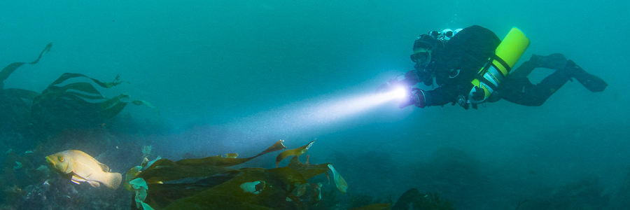 Dave scuba diving in the Scilly Isles